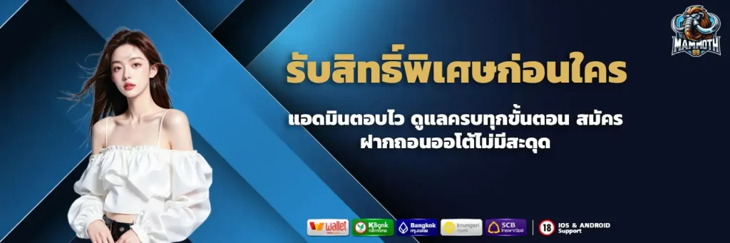 mammoth88 ติดต่อเรา